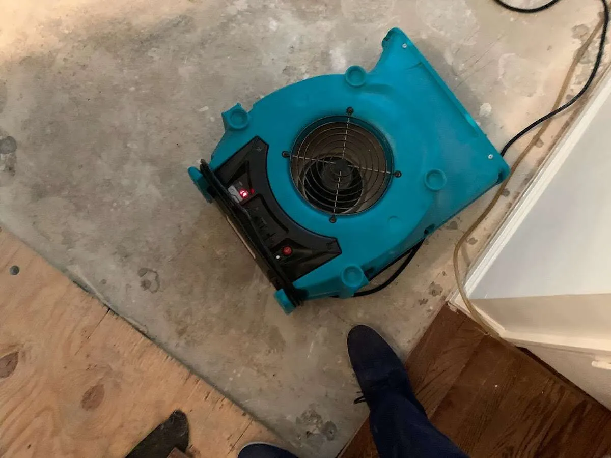 Air mover drying subfloor during Leak Detection & Repair in Great Neck